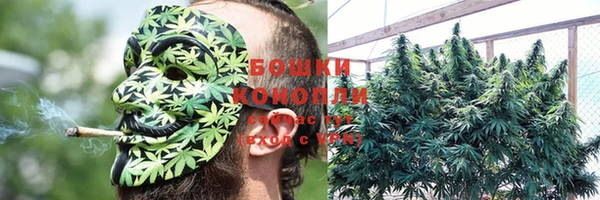 спайс Абаза