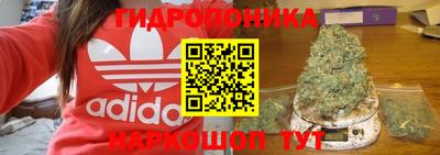 метадон Тавда