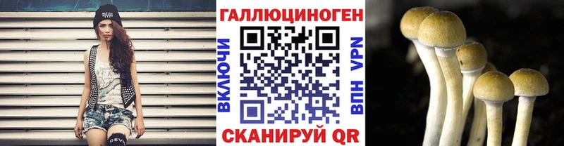 закладки  Грозный  OMG ONION  Псилоцибиновые грибы мицелий 