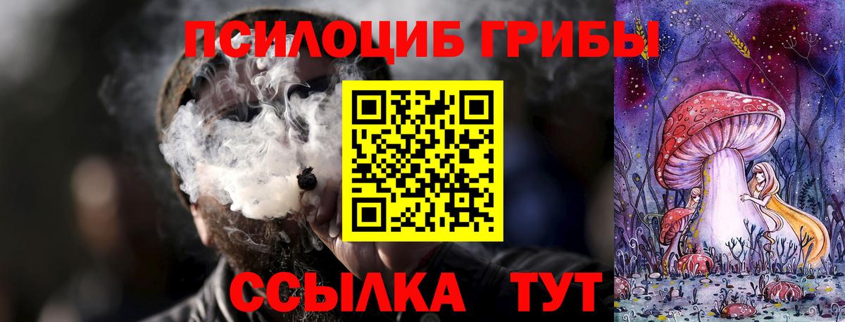 где продают   Вход с VPN  Грозный  Псилоцибиновые грибы Psilocybine cubensis 